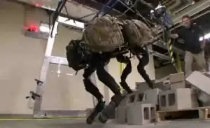 c2c7b03468612ddebee72b09dc5ab783