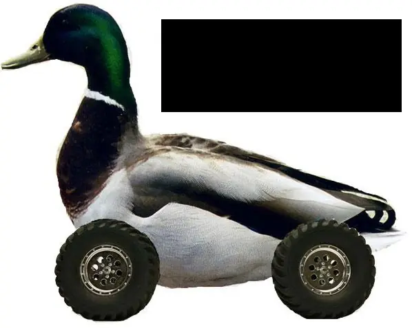 29b69ea3a4a9c856538f2123e858cf30