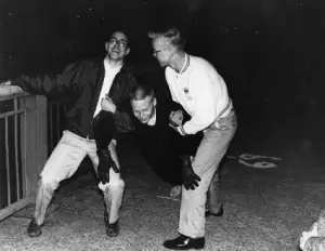 8347c6c6ed13bd46c0db923706d20318