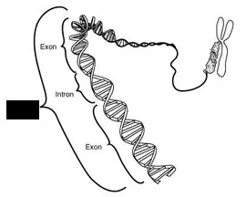 6acb447e99f6ce7766f1a6fc5c844087