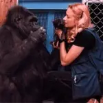 432fa16e406699718ab67099716d312a