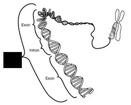 0b72aa241a63a11a58fe60001a7d443a