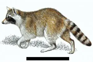 74809bcb0c82eb9965438801cbaa23de